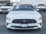 2019 Mustang Thumbnail 26