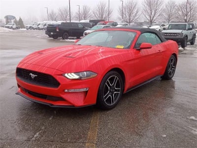 2019 Ford Mustang Ecoboost 2DR Convertible