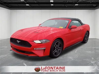 2019 Ford Mustang Ecoboost 2DR Convertible