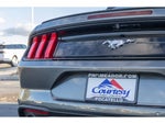 2020 Mustang Thumbnail 29
