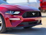 2021 Mustang Thumbnail 10