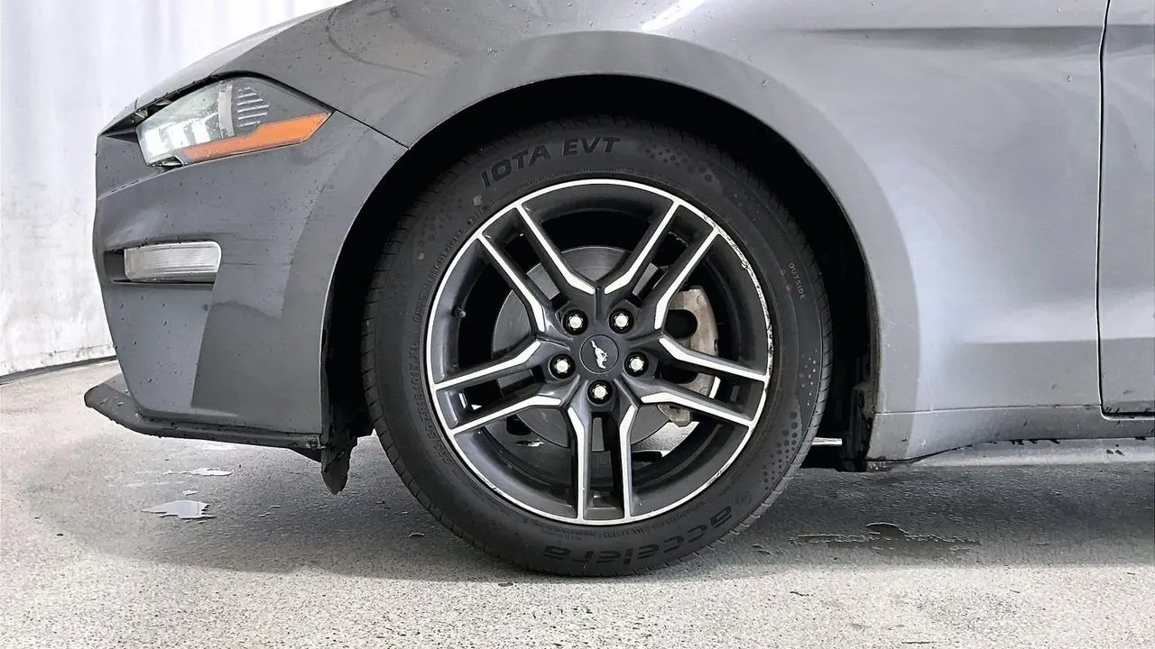 2022 Ford Mustang EcoBoost