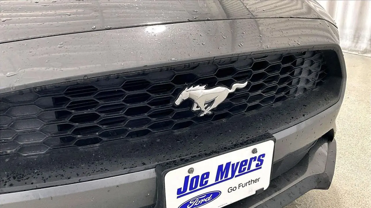 2022 Ford Mustang EcoBoost