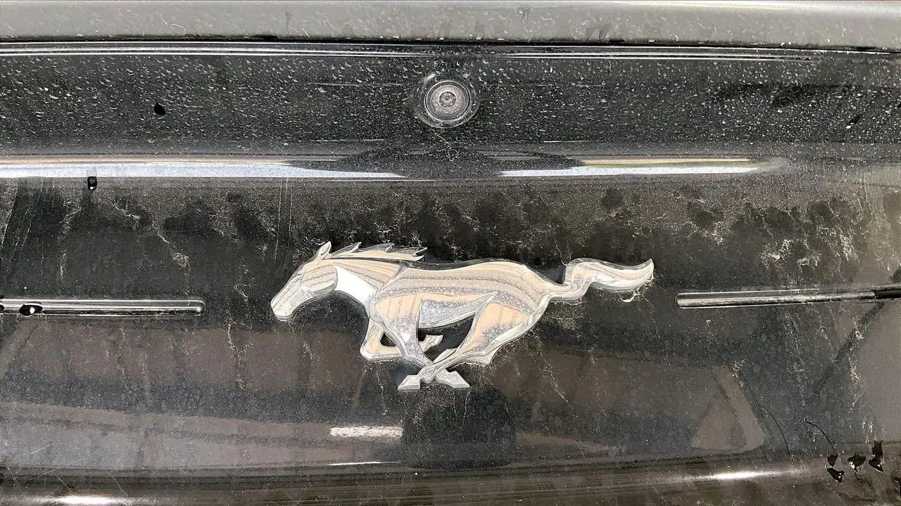 2022 Ford Mustang EcoBoost