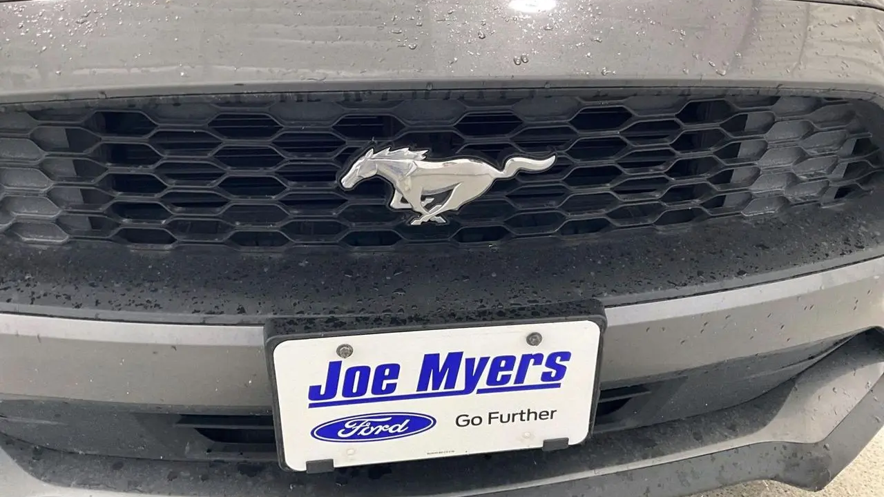 2022 Ford Mustang EcoBoost