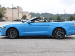 2023 Mustang Thumbnail 5