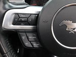 2023 Mustang Thumbnail 24