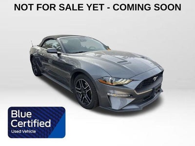 2023 Ford Mustang Ecoboost Premium 2DR Convertible