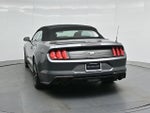 2023 Mustang Thumbnail 19