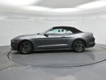 2023 Mustang Thumbnail 20