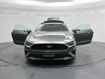 2023 Mustang Thumbnail 22