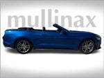 2017 Mustang Thumbnail 3