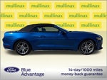 2017 Mustang Thumbnail 21