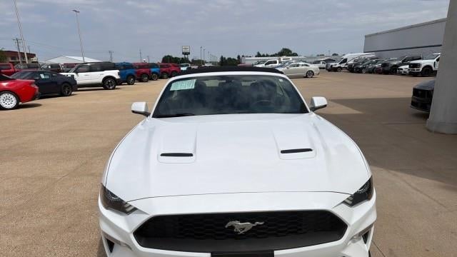 2019 Ford Mustang EcoBoost
