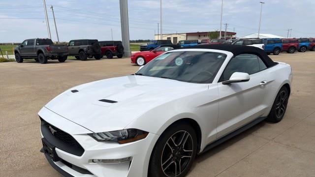 2019 Ford Mustang EcoBoost