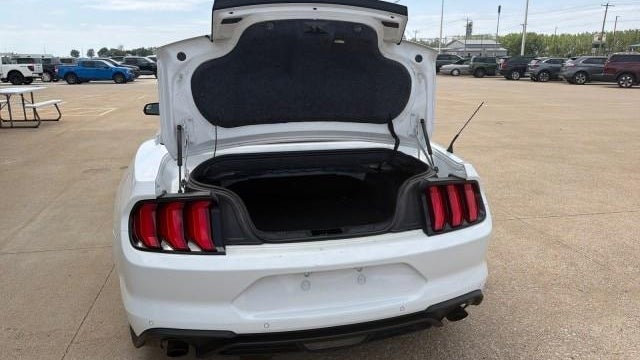 2019 Ford Mustang EcoBoost
