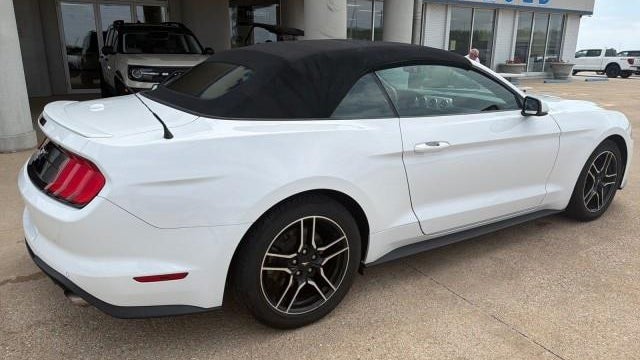 2019 Ford Mustang EcoBoost