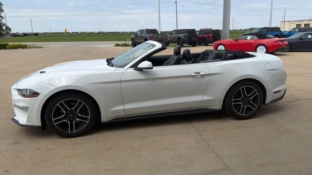 2019 Ford Mustang EcoBoost