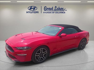 Photo of a 2019 Ford Mustang Ecoboost 2DR Convertible for sale