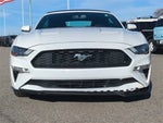 2019 Mustang Thumbnail 6