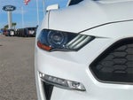2019 Mustang Thumbnail 7