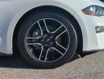 2019 Mustang Thumbnail 8