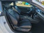 2019 Mustang Thumbnail 10