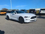 2019 Mustang Thumbnail 25