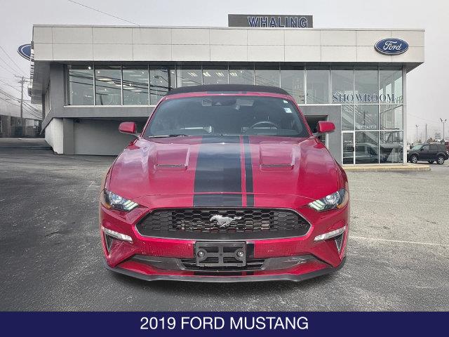 2019 Ford Mustang - $17,495