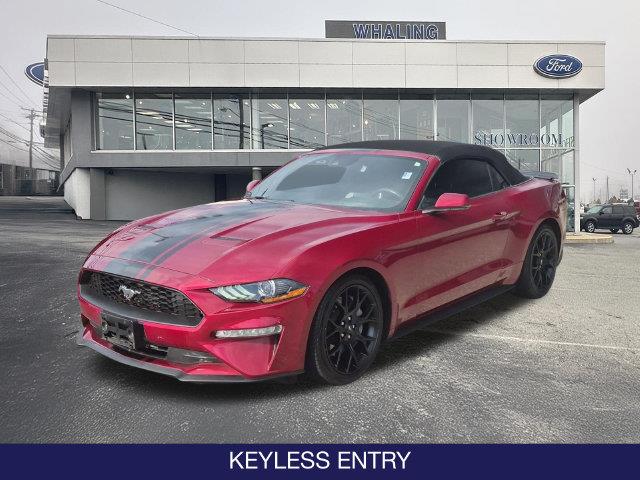 2019 Ford Mustang - $17,495