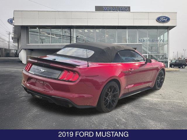 2019 Ford Mustang - $17,495