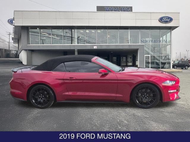 2019 Ford Mustang - $17,495