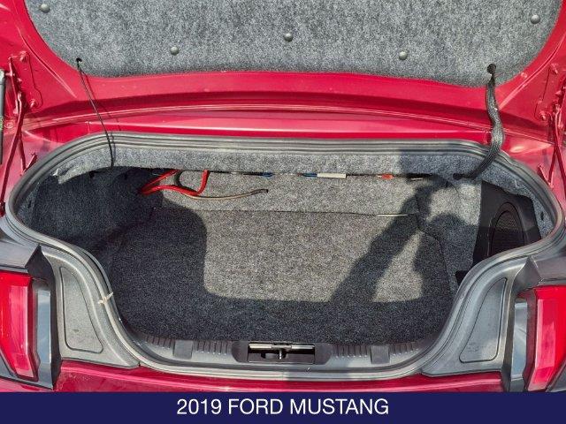 2019 Ford Mustang - $17,495