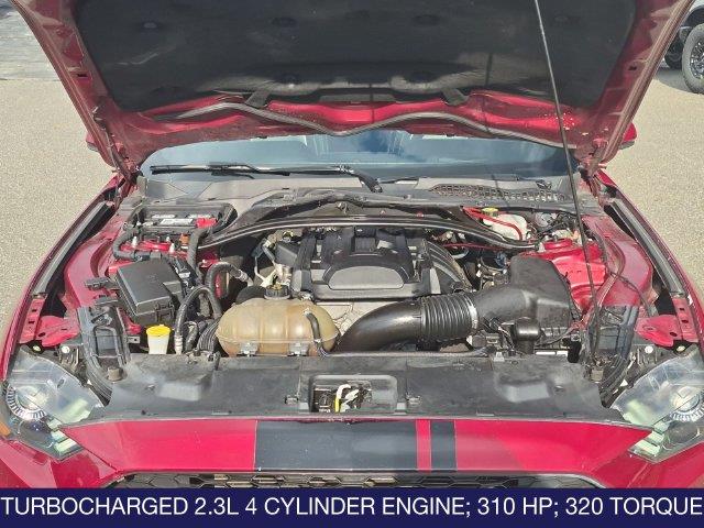 2019 Ford Mustang - $17,495