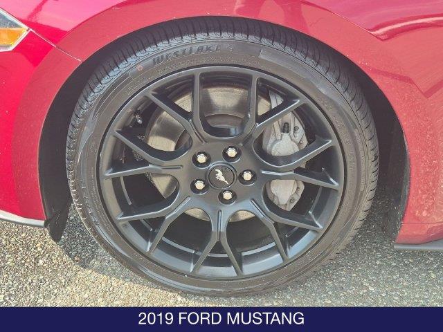 2019 Ford Mustang - $17,495