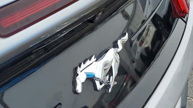 2022 Ford Mustang EcoBoost