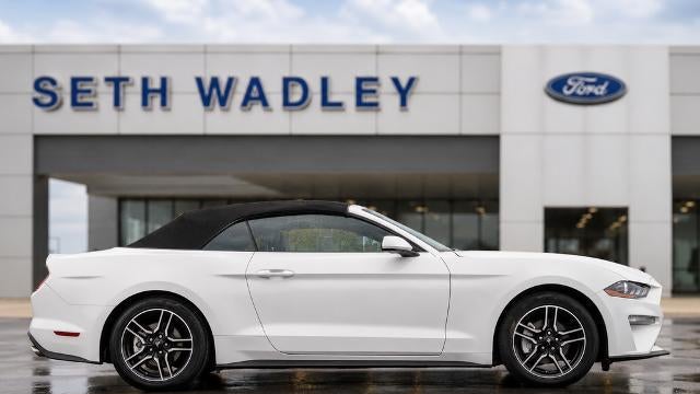 2022 Ford Mustang EcoBoost