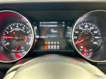 2022 Mustang Thumbnail 17