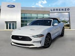 2022 Mustang Thumbnail 3