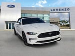2022 Mustang Thumbnail 5
