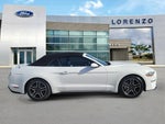 2022 Mustang Thumbnail 6