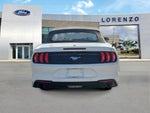 2022 Mustang Thumbnail 8