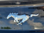 2022 Mustang Thumbnail 28