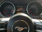 2022 Mustang Thumbnail 29