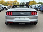 2022 Mustang Thumbnail 4