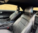 2022 Mustang Thumbnail 11