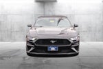 2023 Mustang Thumbnail 4