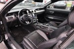 2023 Mustang Thumbnail 19