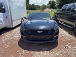 2016 Mustang Thumbnail 2