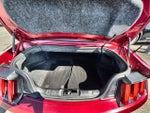 2017 Mustang Thumbnail 21